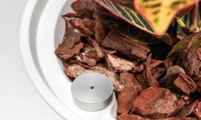 Kyoto-LR-4-768×1109 Kyoto-LR-4-768x1109